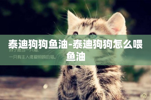 泰迪狗狗魚油-泰迪狗狗怎么喂魚油