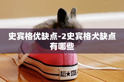 史賓格優缺點-2史賓格犬缺點有哪些