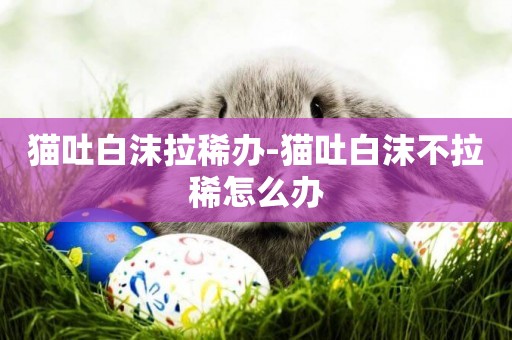 貓吐白沫拉稀辦-貓吐白沫不拉稀怎么辦