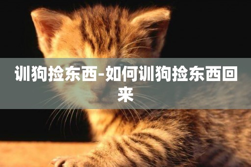 訓狗撿東西-如何訓狗撿東西回來