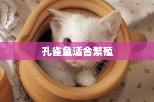 孔雀魚適合繁殖