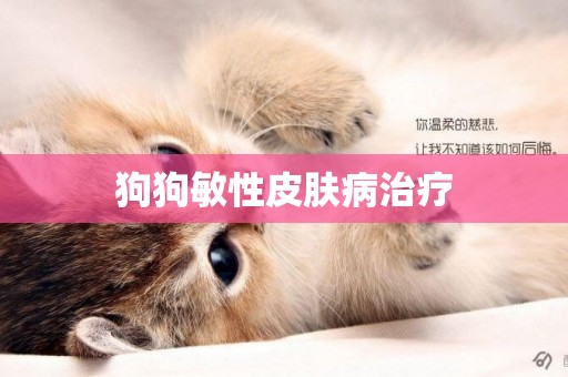 狗狗敏性皮膚病治療