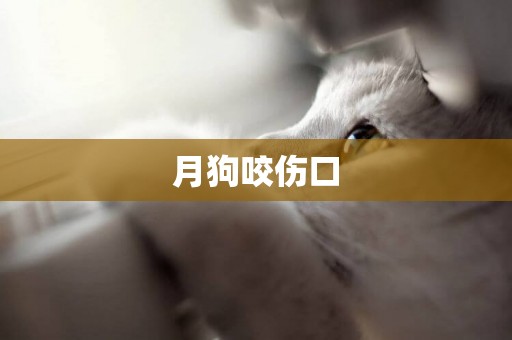 月狗咬傷口