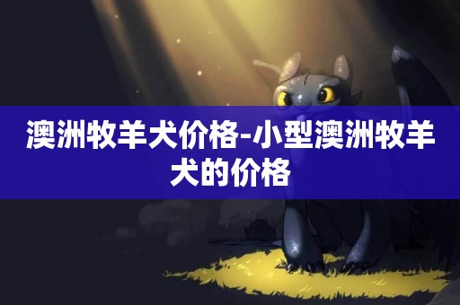 澳洲牧羊犬價格-小型澳洲牧羊犬的價格