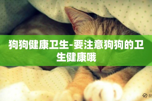 狗狗健康衛生-要注意狗狗的衛生健康哦