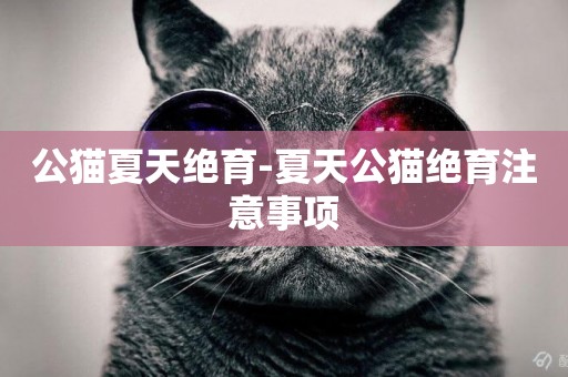 公貓夏天絕育-夏天公貓絕育注意事項