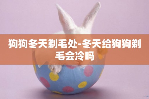 狗狗冬天剃毛處-冬天給狗狗剃毛會冷嗎
