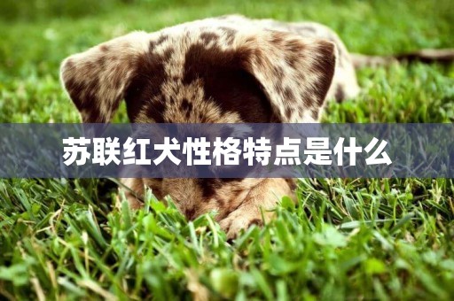 蘇聯紅犬性格特點是什么