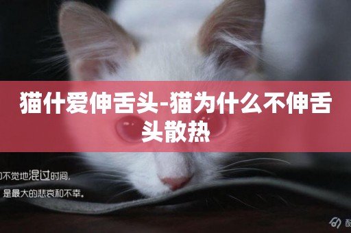 貓什愛伸舌頭-貓為什么不伸舌頭散熱