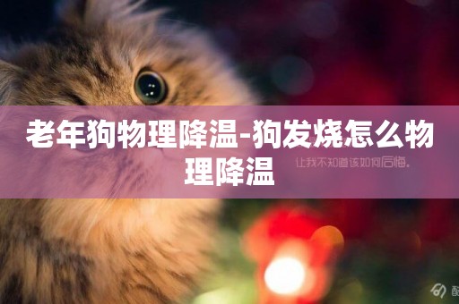 老年狗物理降溫-狗發燒怎么物理降溫