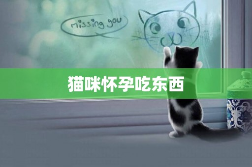 貓咪懷孕吃東西
