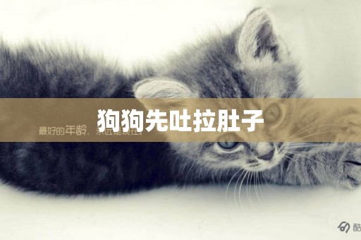 狗狗先吐拉肚子
