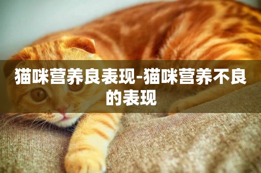 貓咪營養良表現-貓咪營養不良的表現
