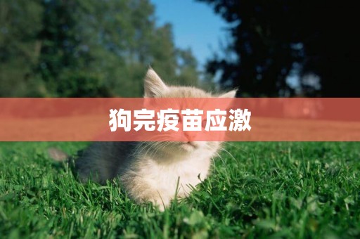 狗完疫苗應激