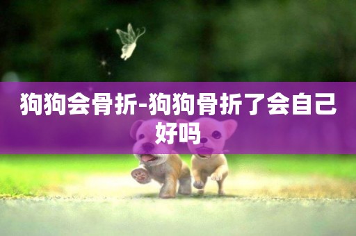 狗狗會骨折-狗狗骨折了會自己好嗎