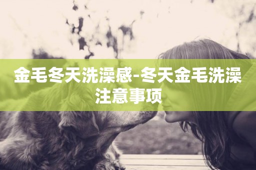 金毛冬天洗澡感-冬天金毛洗澡注意事項