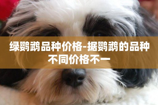 綠鸚鵡品種價格-據鸚鵡的品種不同價格不一
