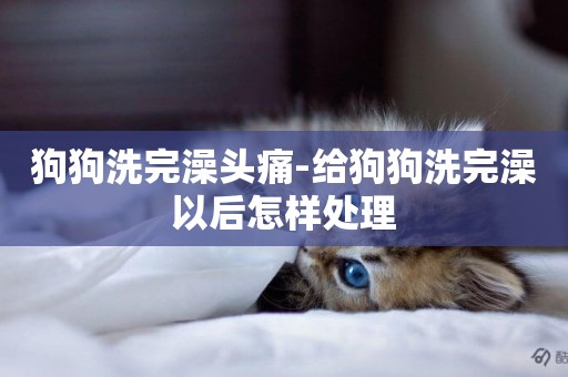 狗狗洗完澡頭痛-給狗狗洗完澡以后怎樣處理