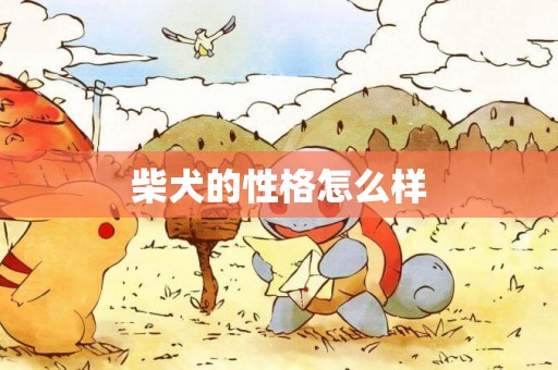 柴犬的性格怎么樣