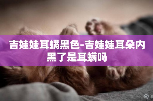 吉娃娃耳螨黑色-吉娃娃耳朵內黑了是耳螨嗎