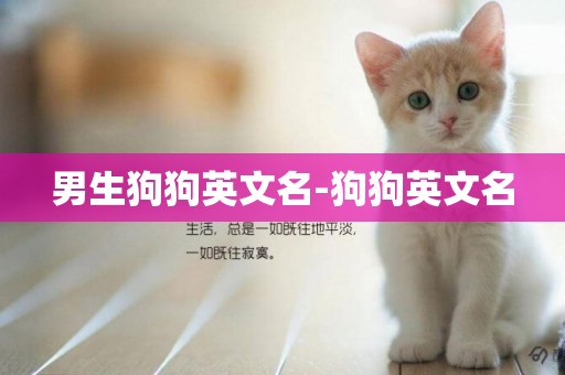 男生狗狗英文名-狗狗英文名