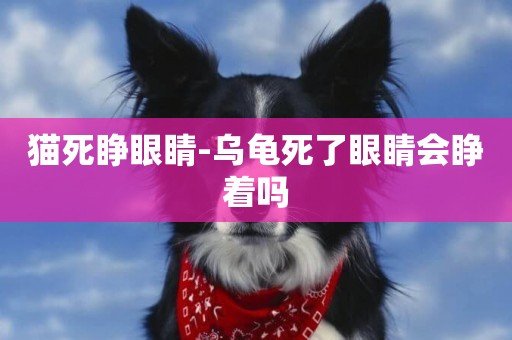 貓死睜眼睛-烏龜死了眼睛會睜著嗎