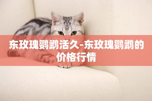 東玫瑰鸚鵡活久-東玫瑰鸚鵡的價格行情