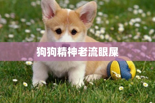 狗狗精神老流眼屎