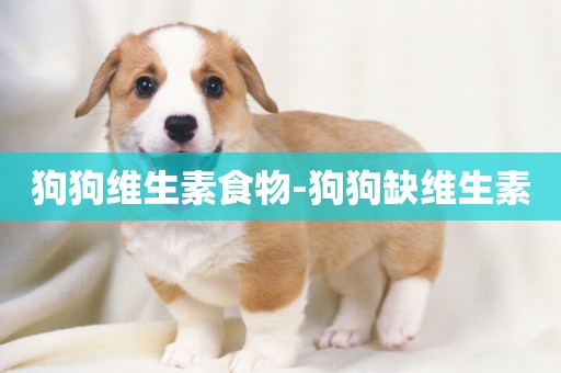 狗狗維生素食物-狗狗缺維生素