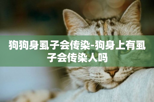 狗狗身虱子會傳染-狗身上有虱子會傳染人嗎