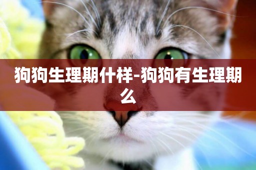 狗狗生理期什樣-狗狗有生理期么