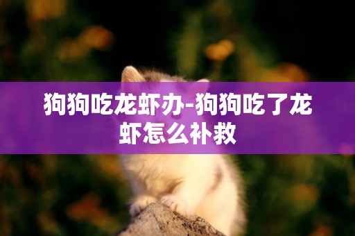 狗狗吃龍蝦辦-狗狗吃了龍蝦怎么補救