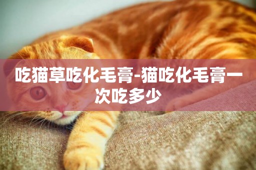 吃貓草吃化毛膏-貓吃化毛膏一次吃多少