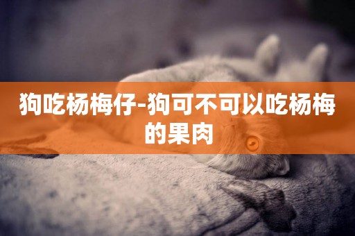狗吃楊梅仔-狗可不可以吃楊梅的果肉