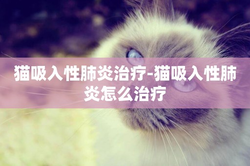 貓吸入性肺炎治療-貓吸入性肺炎怎么治療