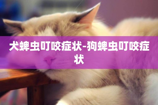 犬蜱蟲叮咬癥狀-狗蜱蟲叮咬癥狀