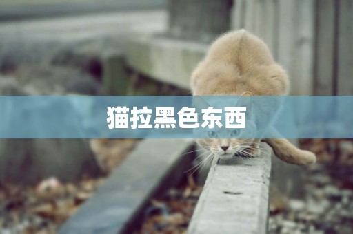 貓拉黑色東西