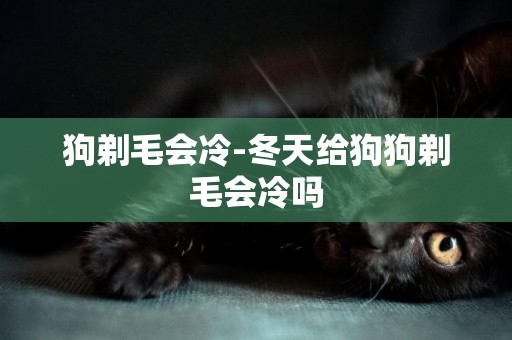 狗剃毛會冷-冬天給狗狗剃毛會冷嗎