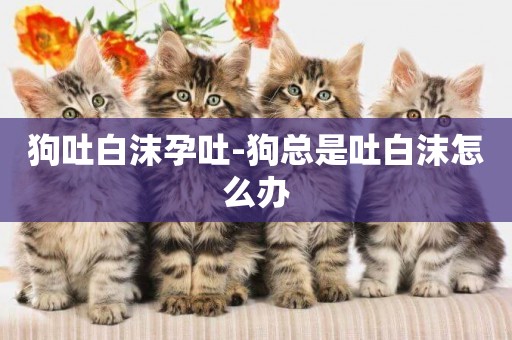 狗吐白沫孕吐-狗總是吐白沫怎么辦