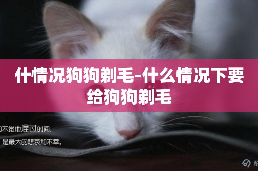 什情況狗狗剃毛-什么情況下要給狗狗剃毛