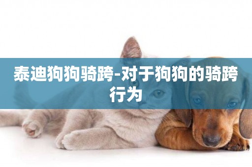 泰迪狗狗騎跨-對于狗狗的騎跨行為