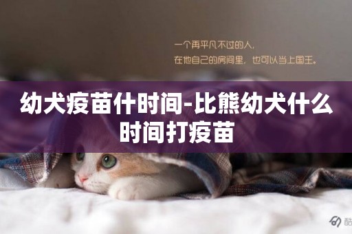 幼犬疫苗什時間-比熊幼犬什么時間打疫苗