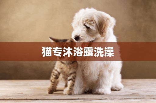 貓專沐浴露洗澡