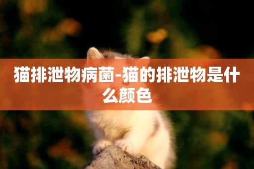 貓排泄物病菌-貓的排泄物是什么顏色
