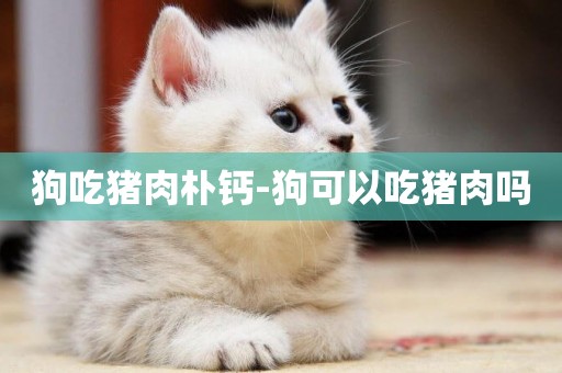 狗吃豬肉樸鈣-狗可以吃豬肉嗎