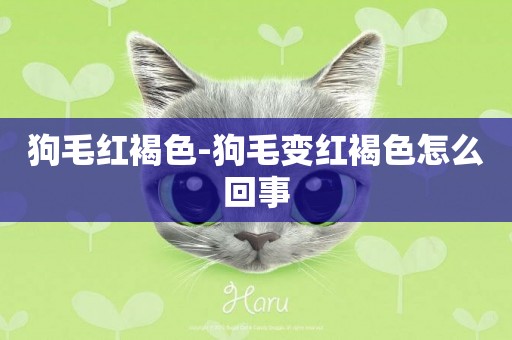 狗毛紅褐色-狗毛變紅褐色怎么回事