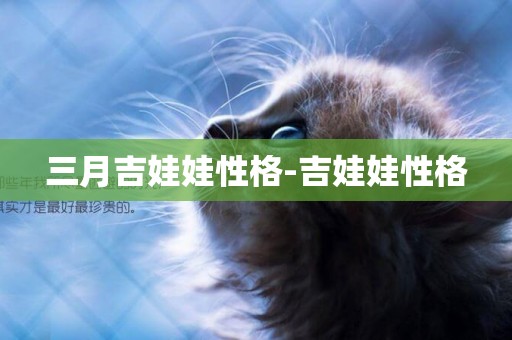 三月吉娃娃性格-吉娃娃性格