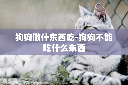狗狗做什東西吃-狗狗不能吃什么東西