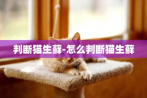 判斷貓生蘚-怎么判斷貓生蘚