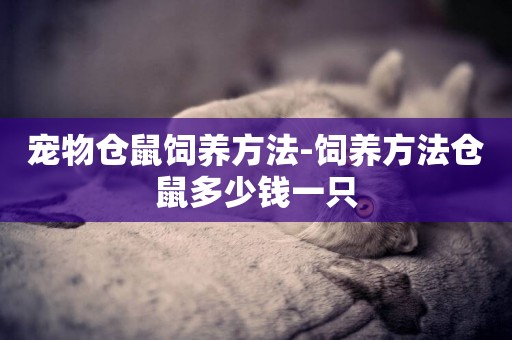 寵物倉鼠飼養方法-飼養方法倉鼠多少錢一只